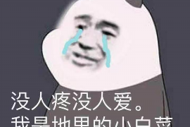 银行人员上门催收贷款：应对策略与法律常识